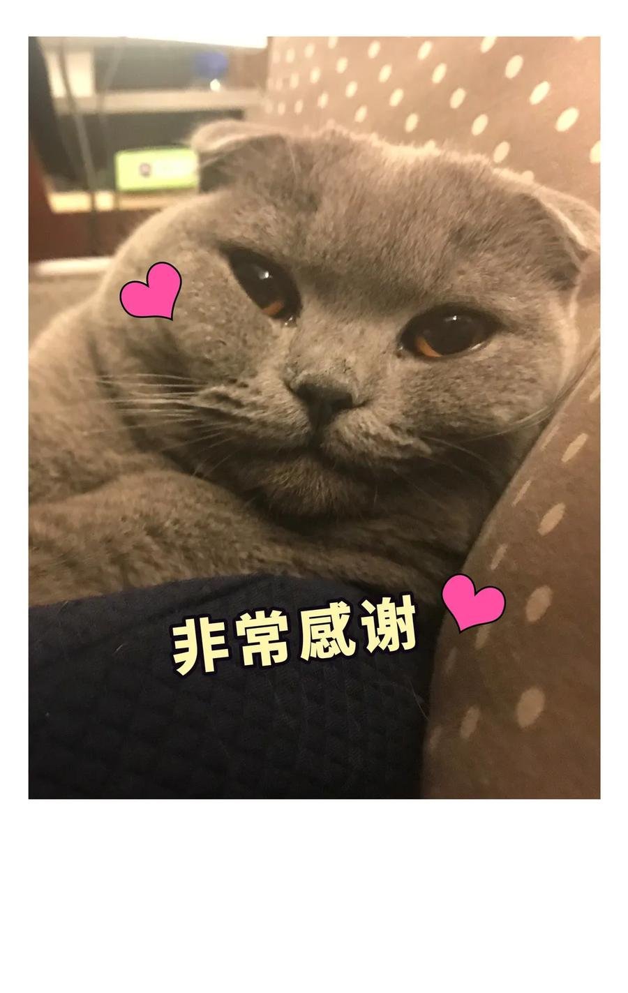 第83话 谢谢，对不起。