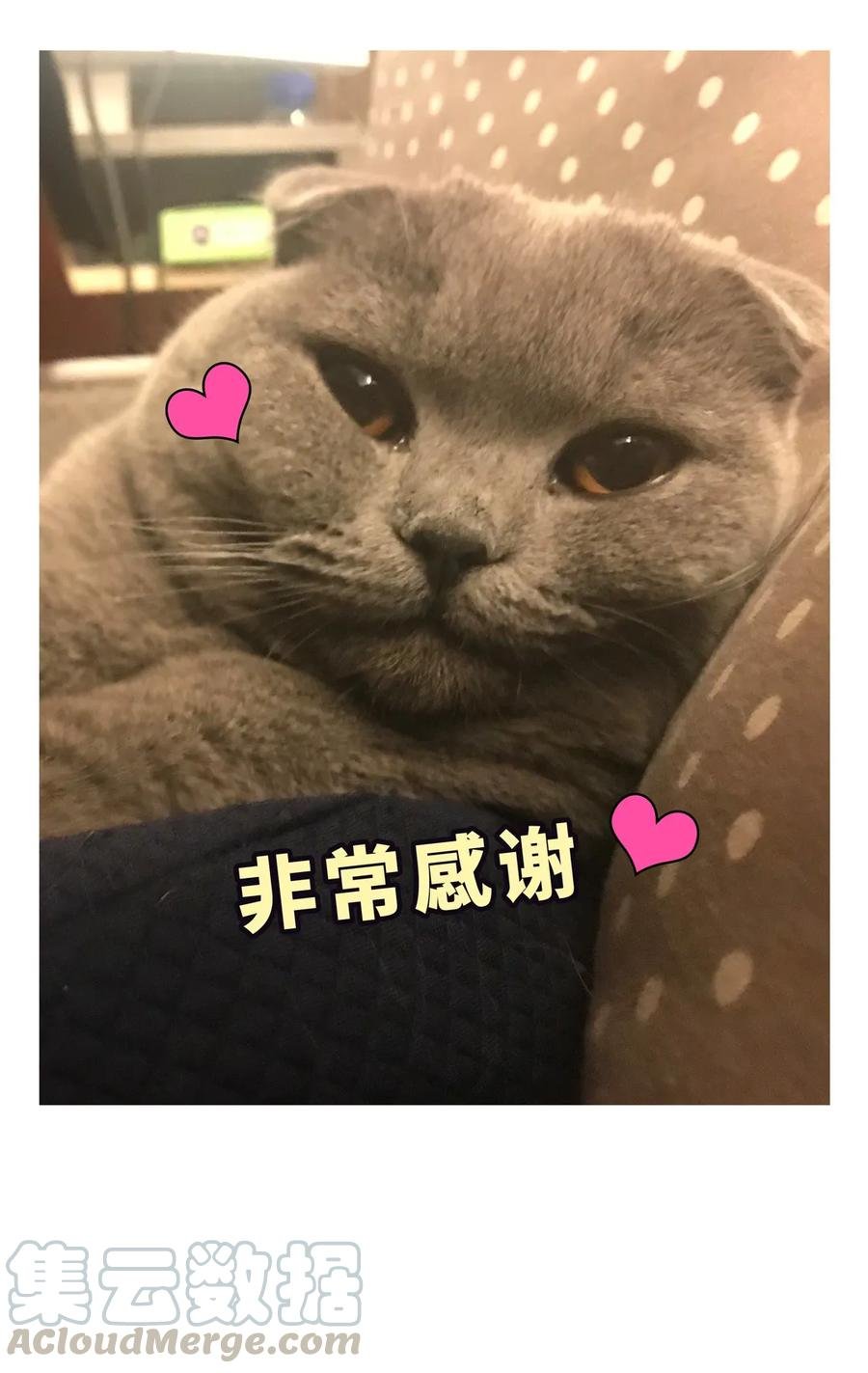 第90话 栾羽的爸爸？
