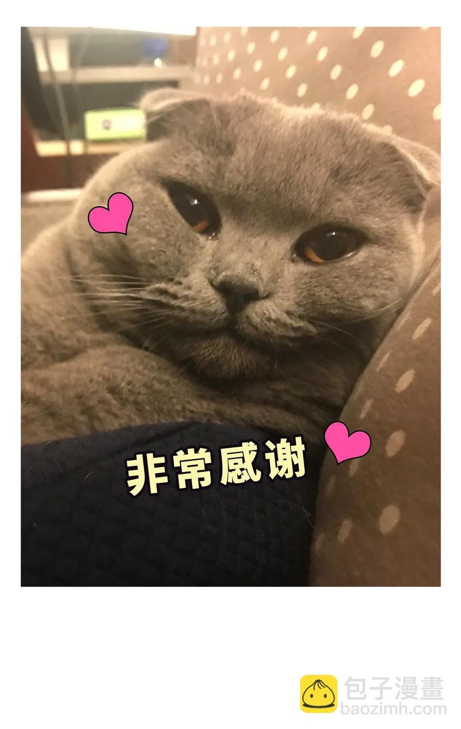 第93话 我和你成为搭档