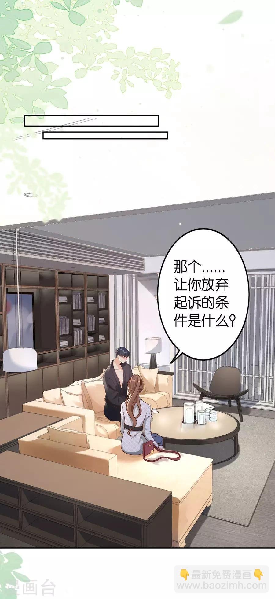 第2话 撤诉的条件