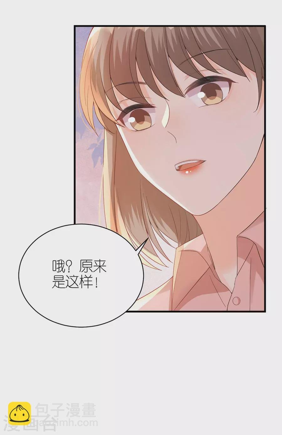 第55话 盗用设计