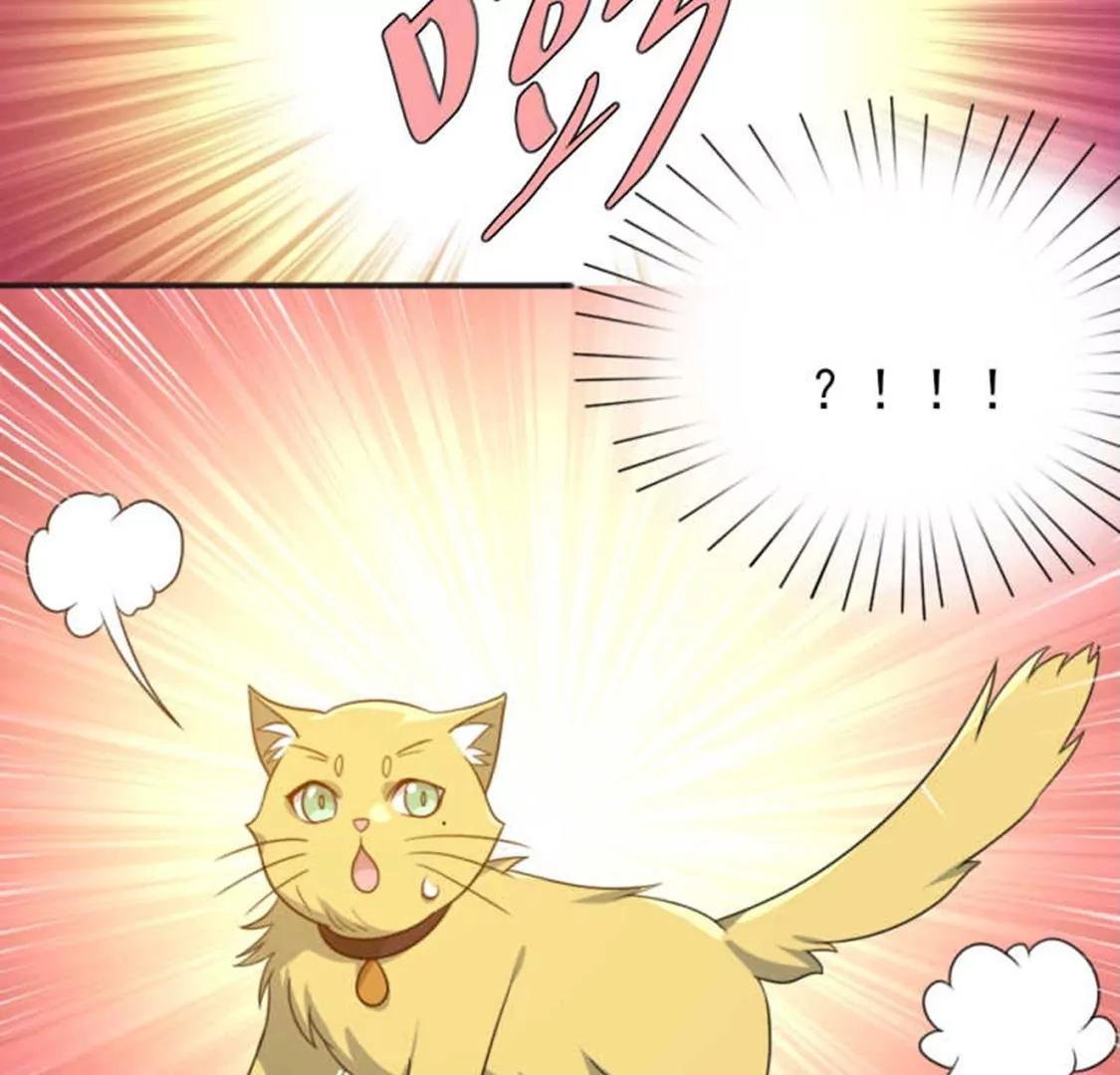 71，1