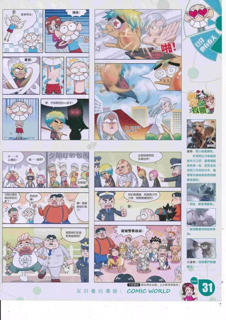 16年34期