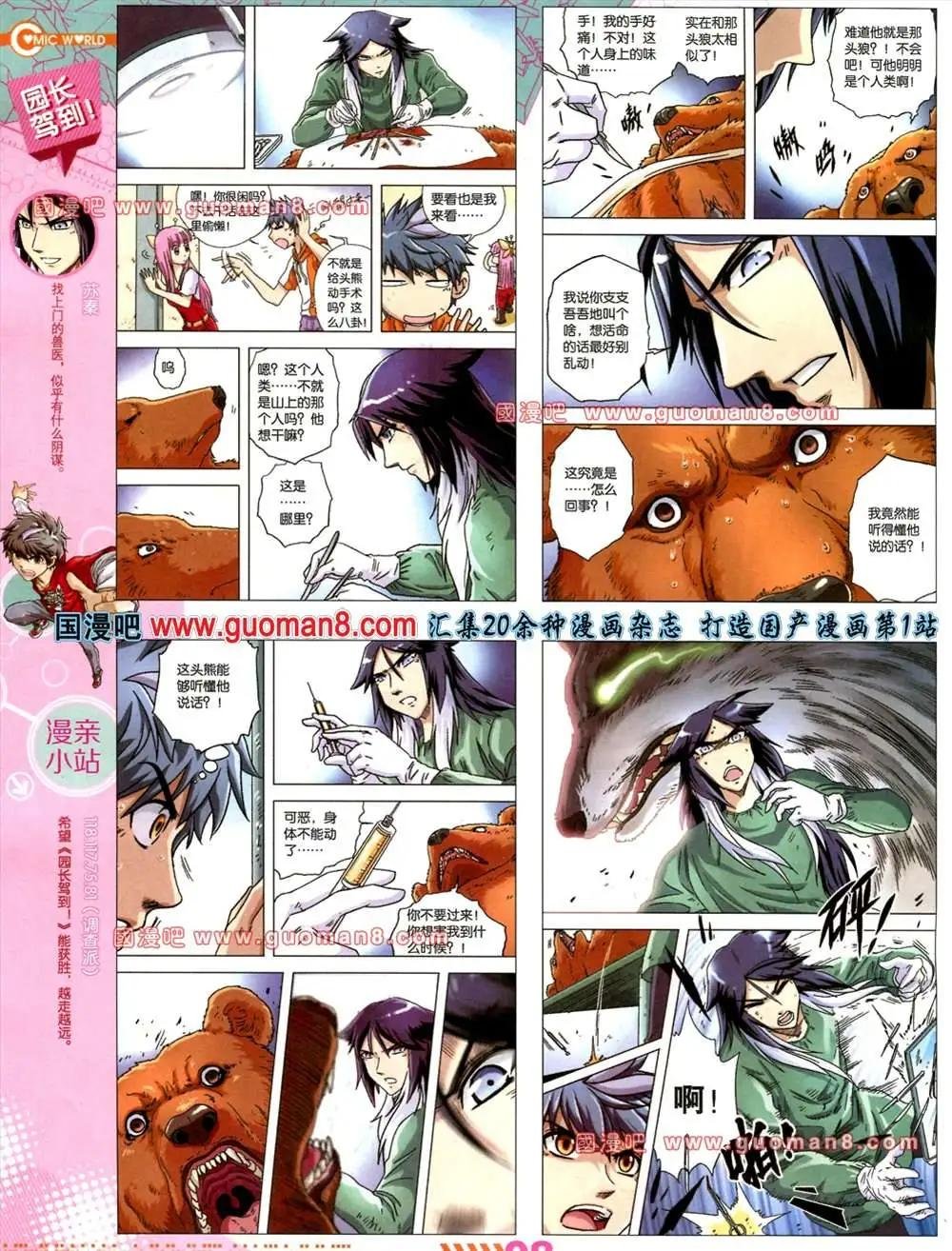 31期