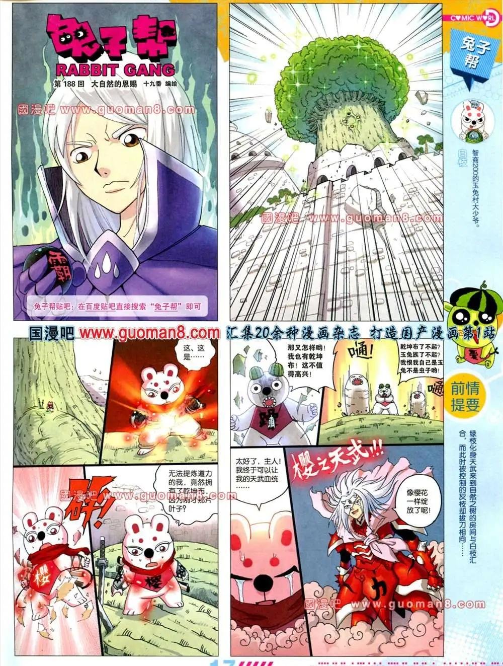 31期