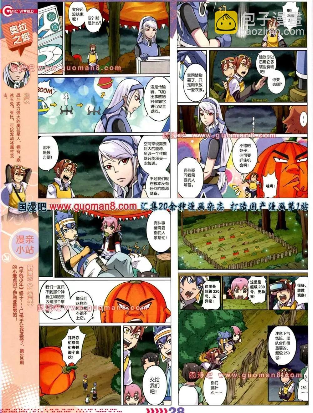 31期