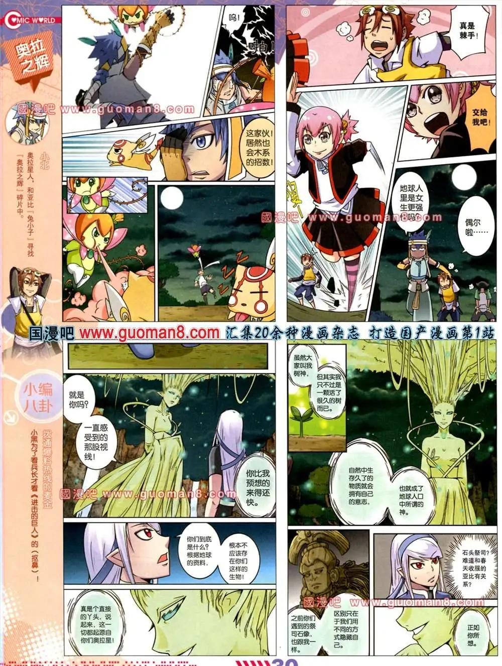 31期