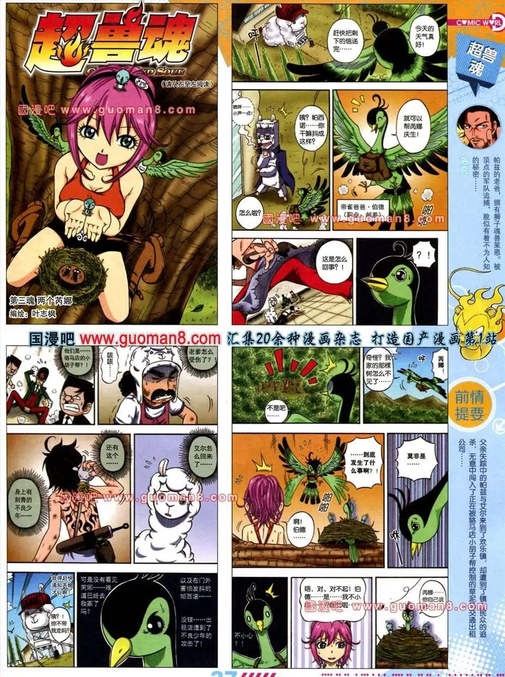 31期