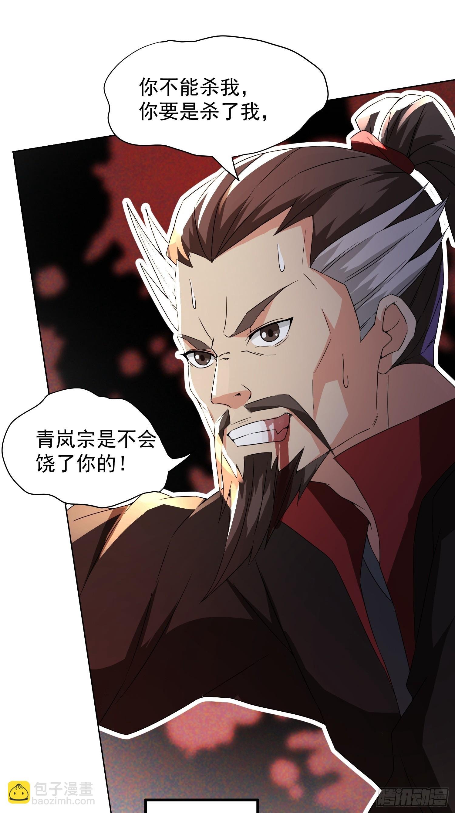 杀青岚宗长老