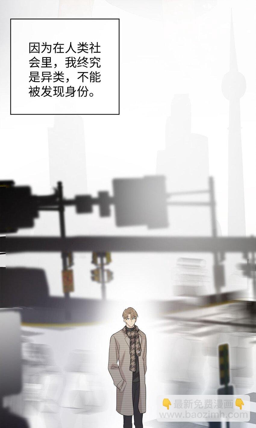 第11话 真是个可靠又温柔的人