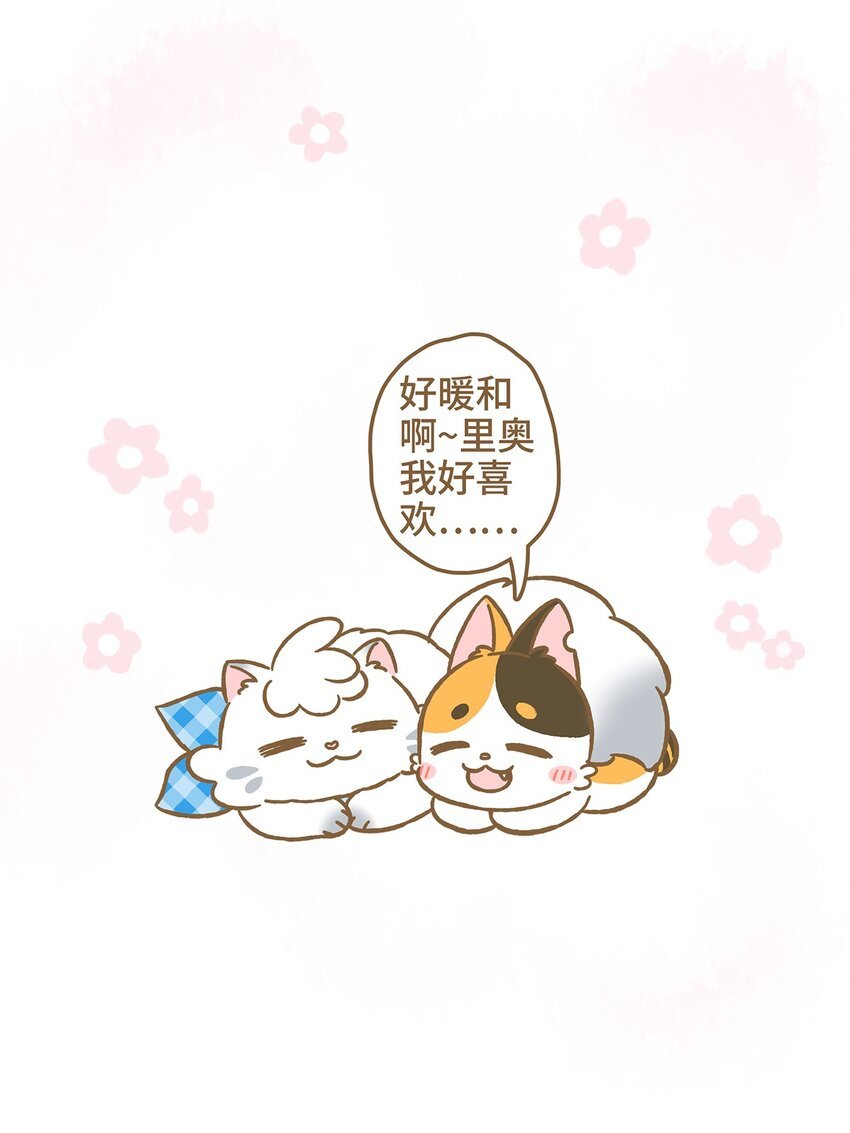 10 第10话