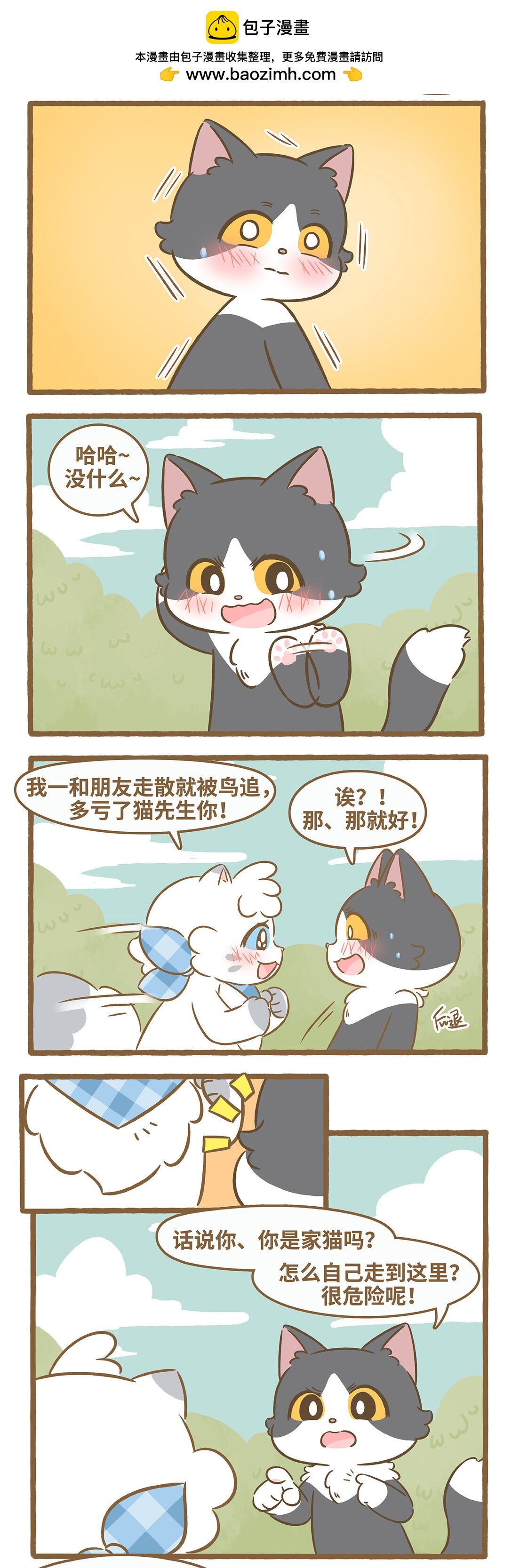 102 再遇猫子汉