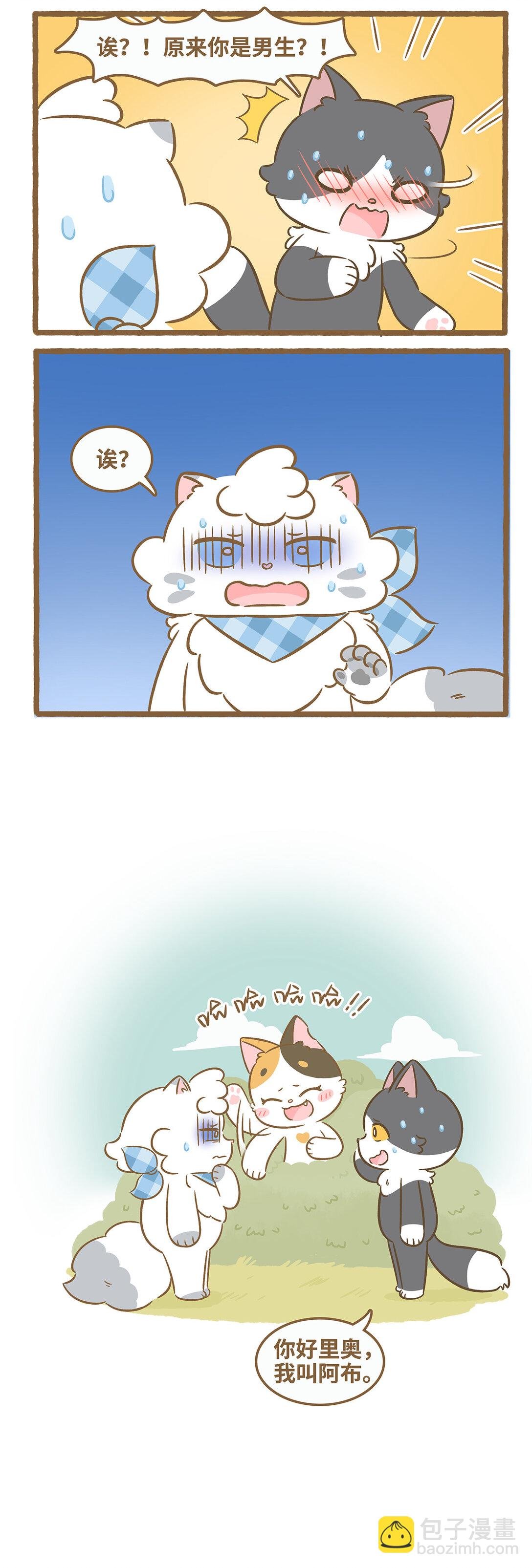 102 再遇猫子汉