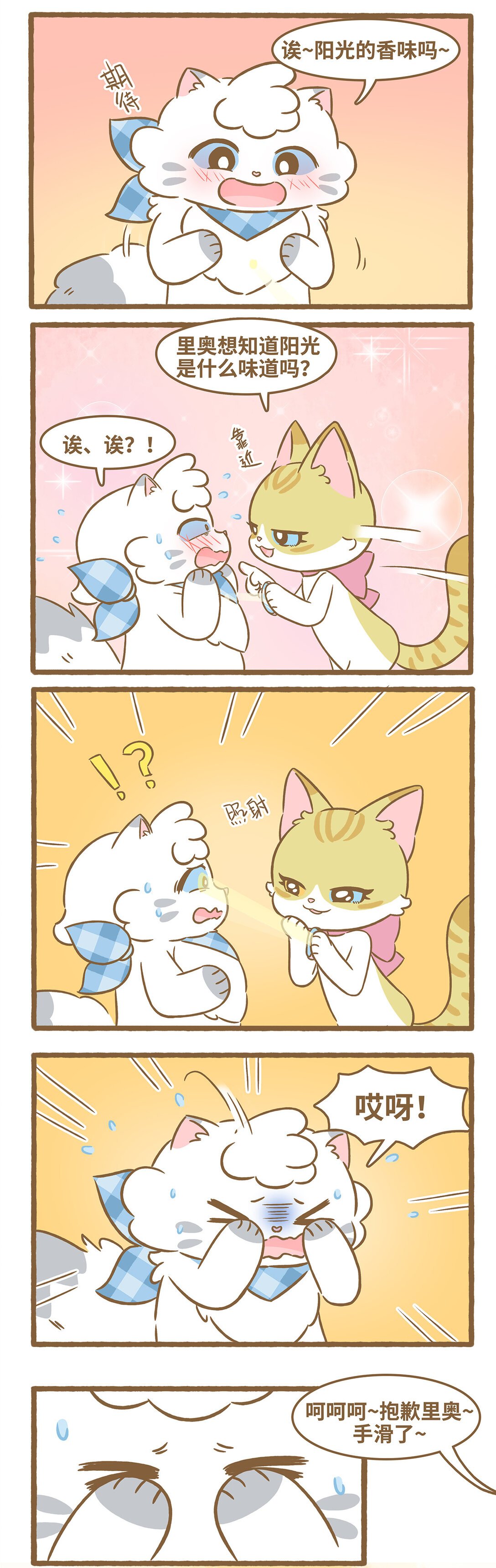 103 阳光的味道