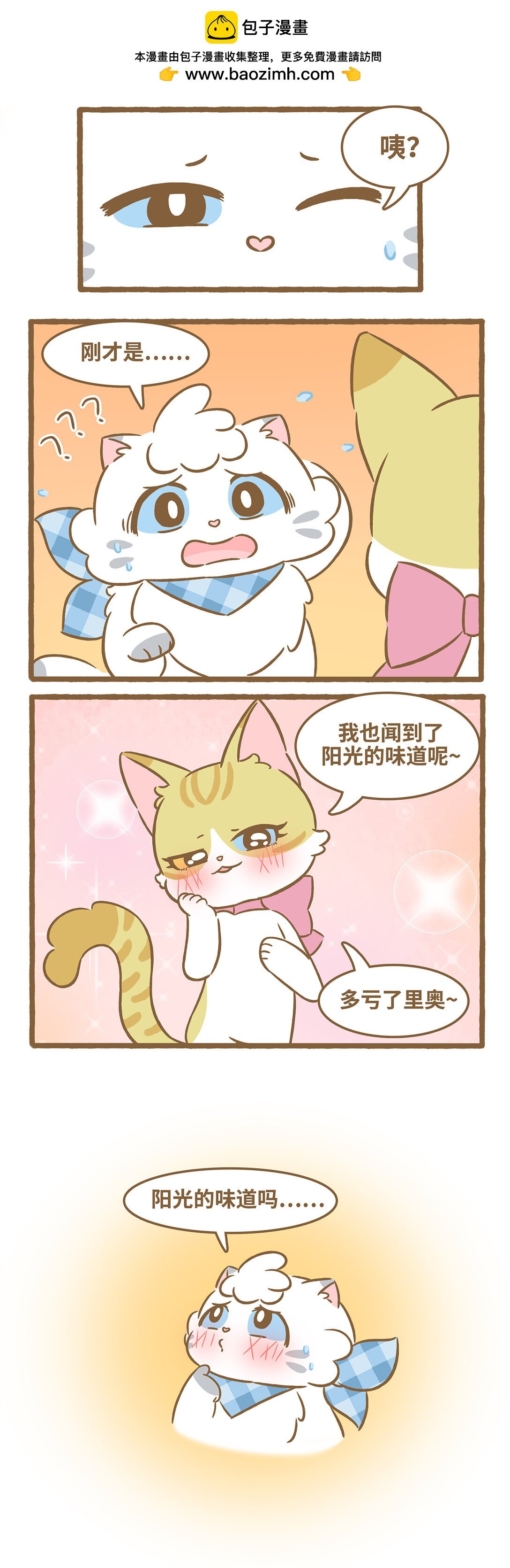 103 阳光的味道