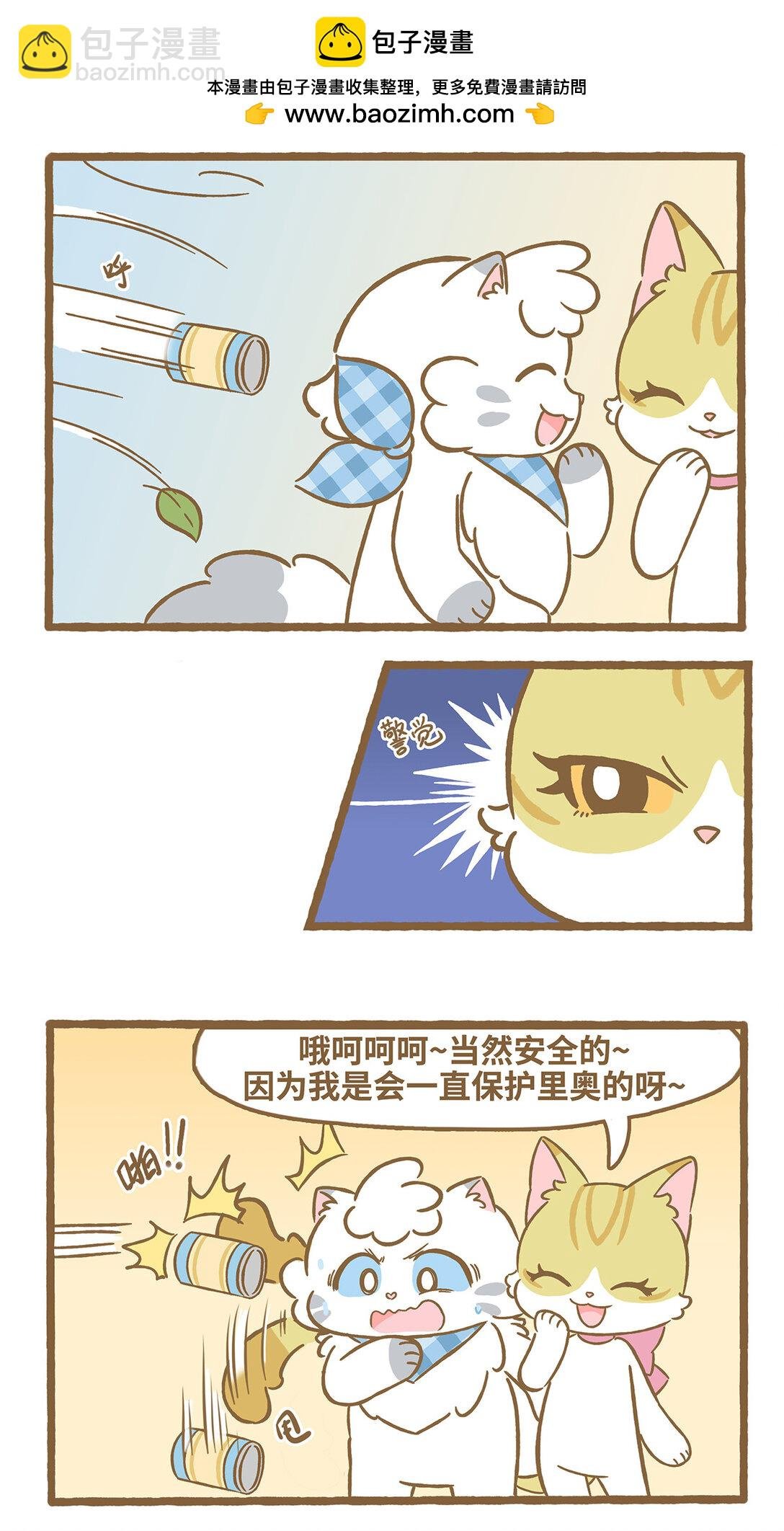 117 保护妙妙