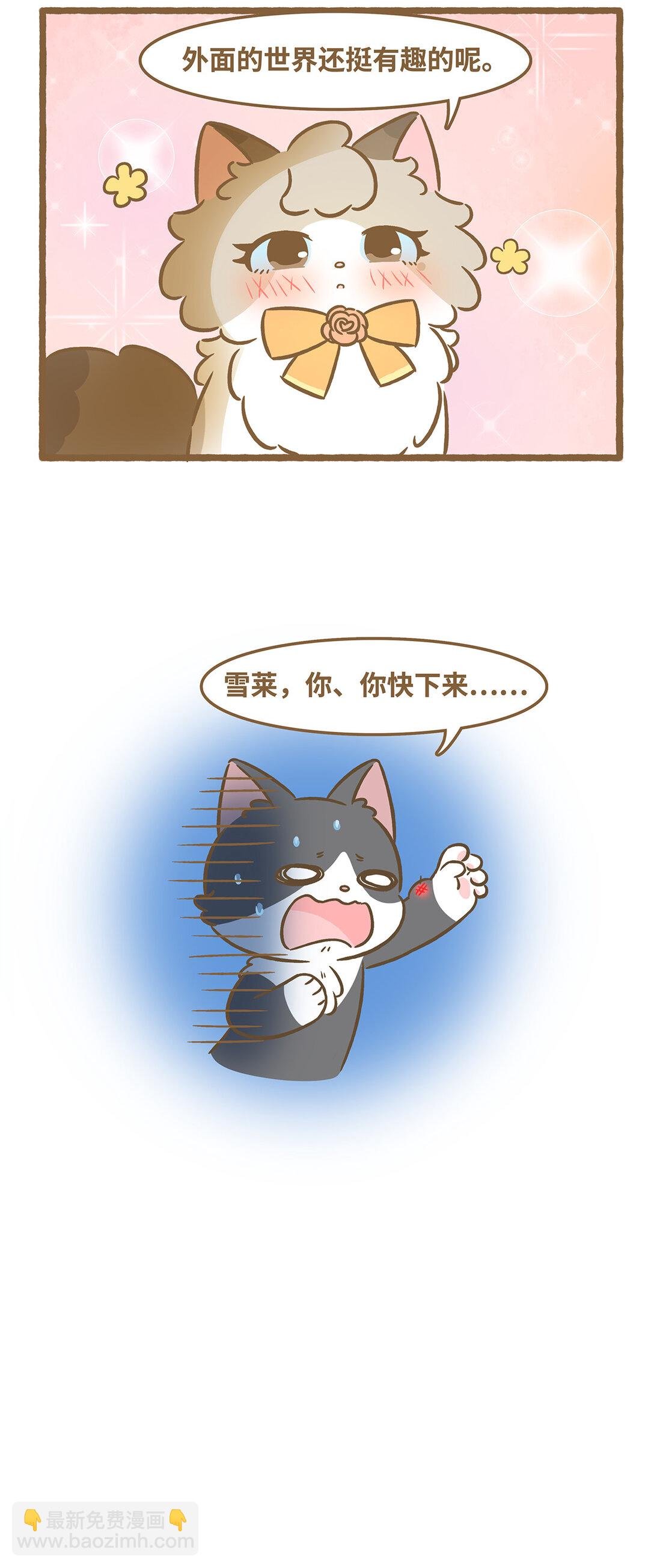 104 第104话 外面的世界