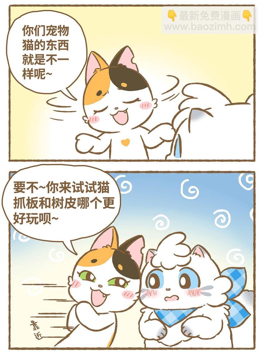 15 第15话