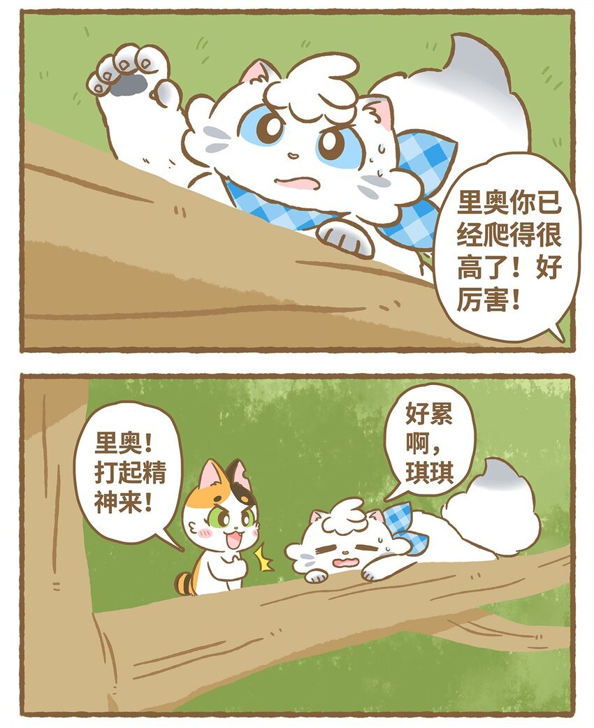 16 第16话