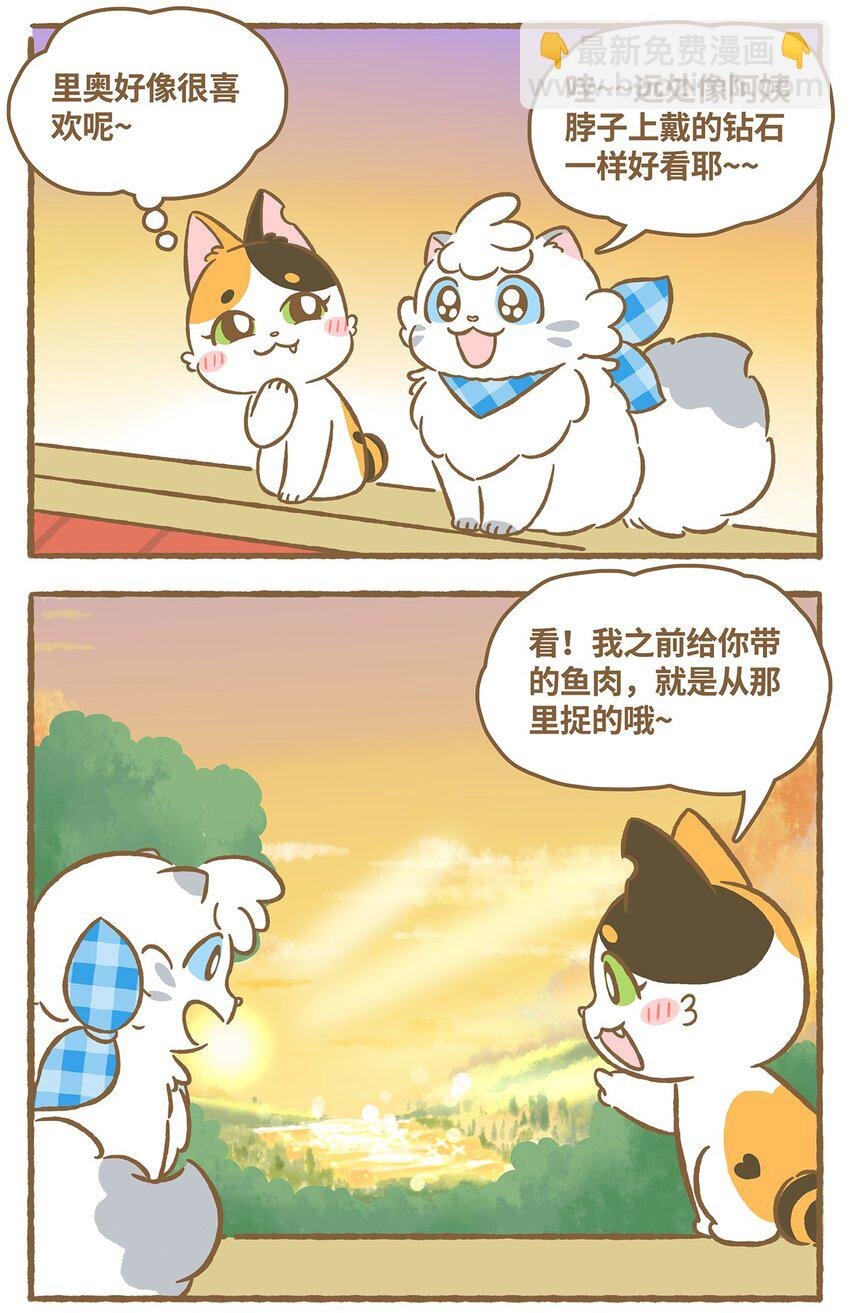 17 第17话