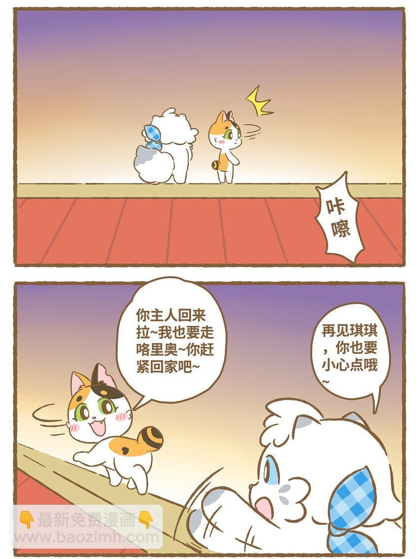 17 第17话