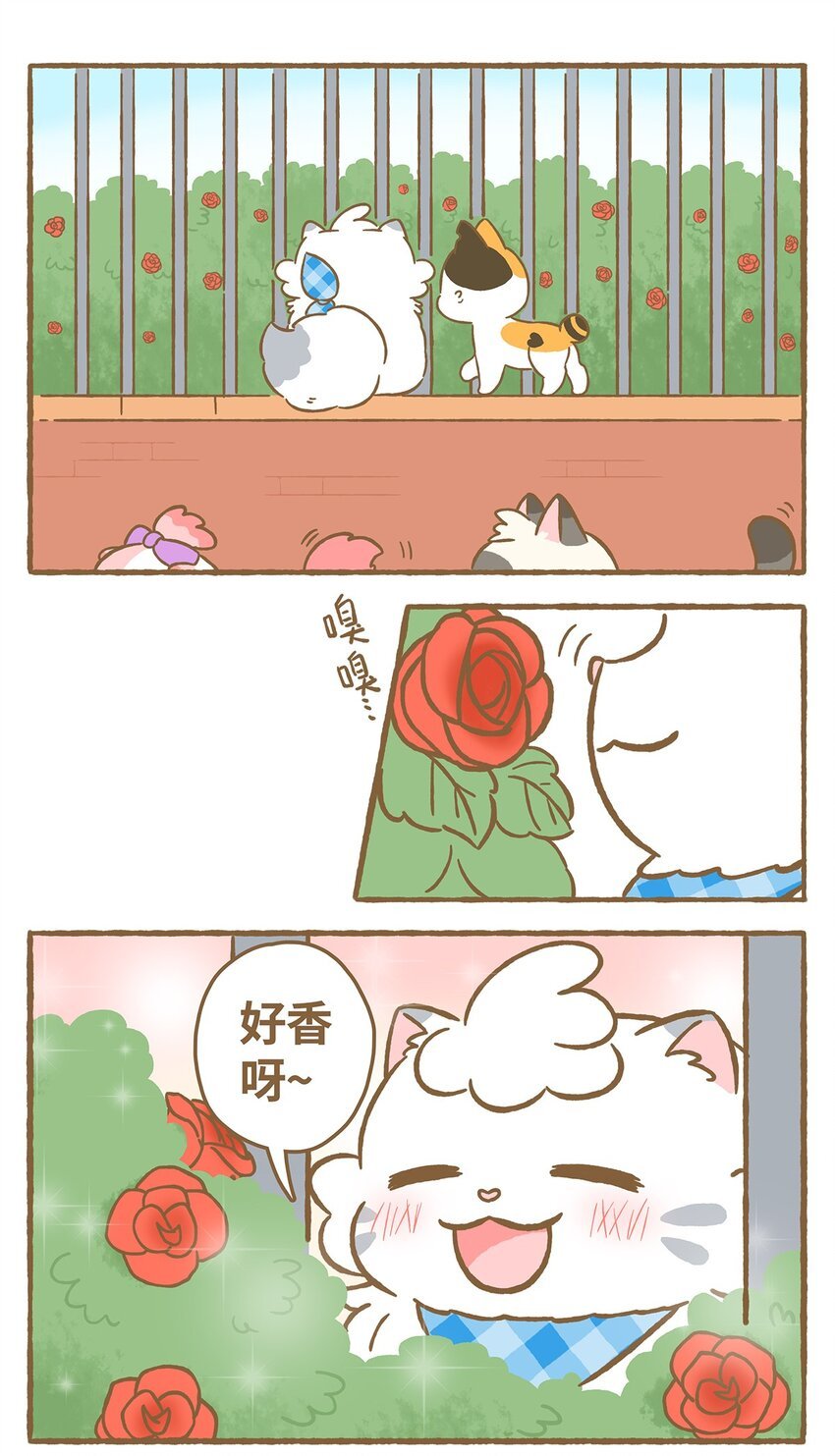 21 第21话
