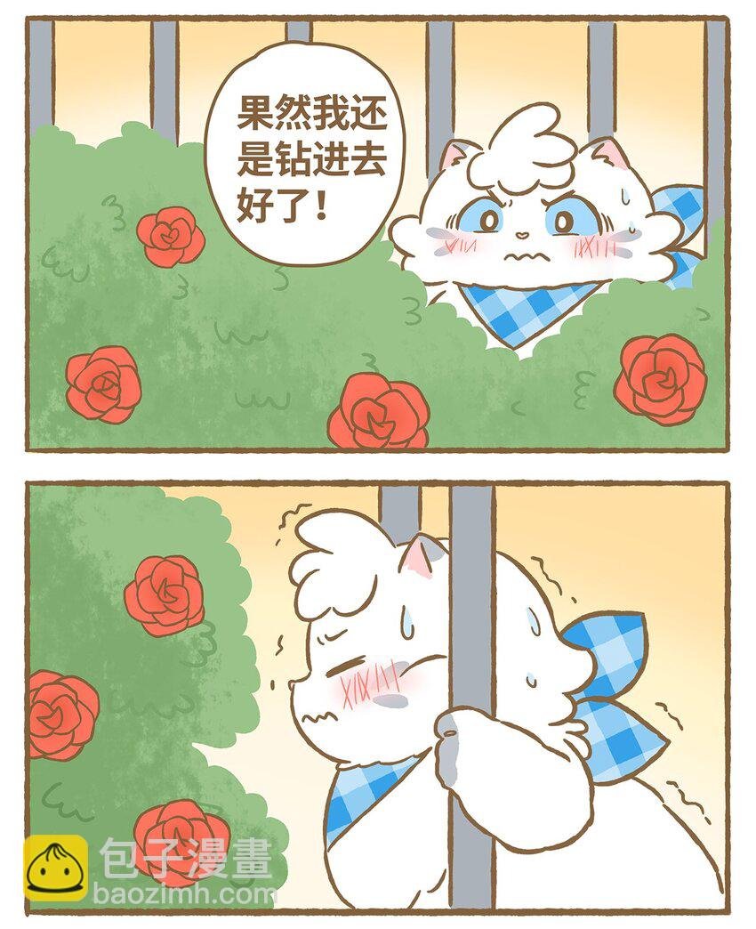 21 第21话