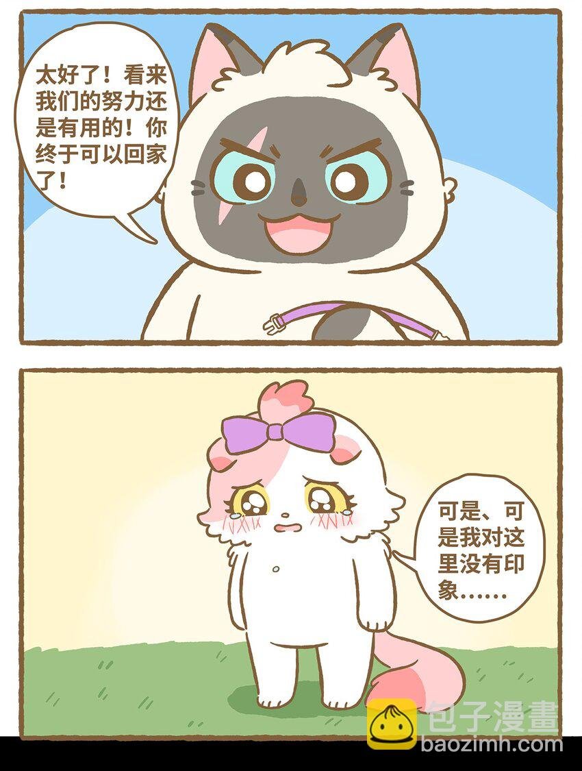 22 第22话
