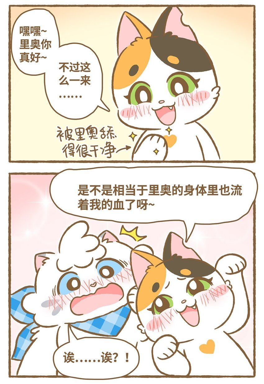 26 第26话