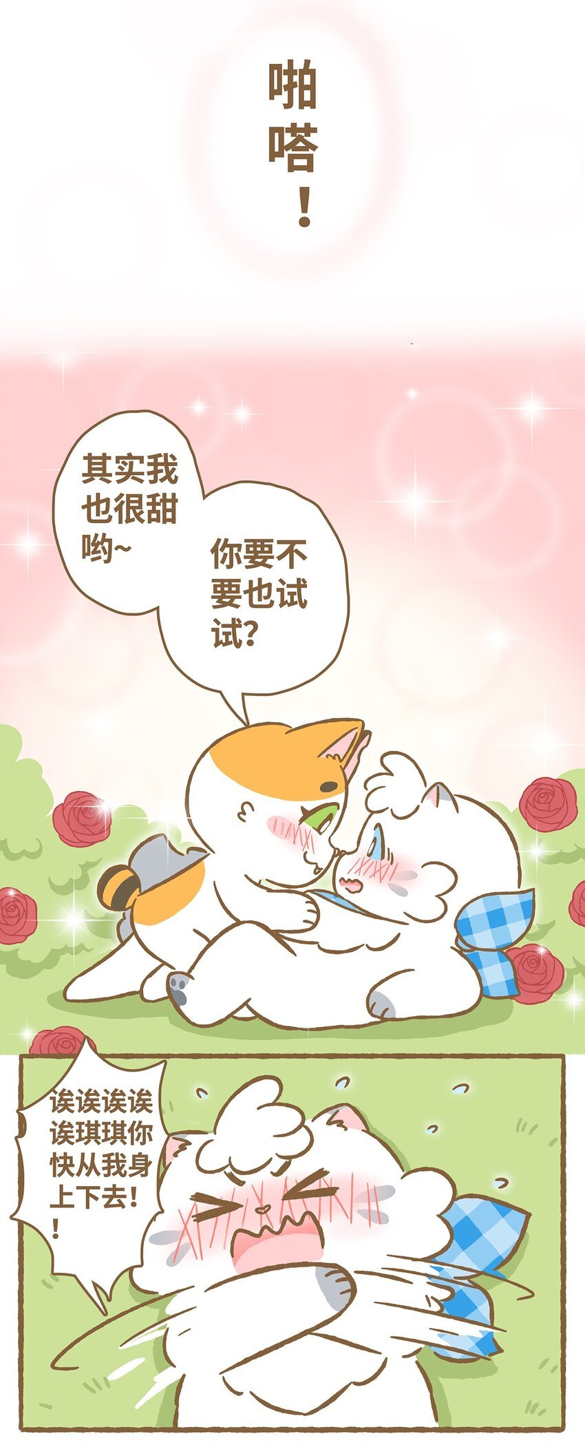 27 第27话