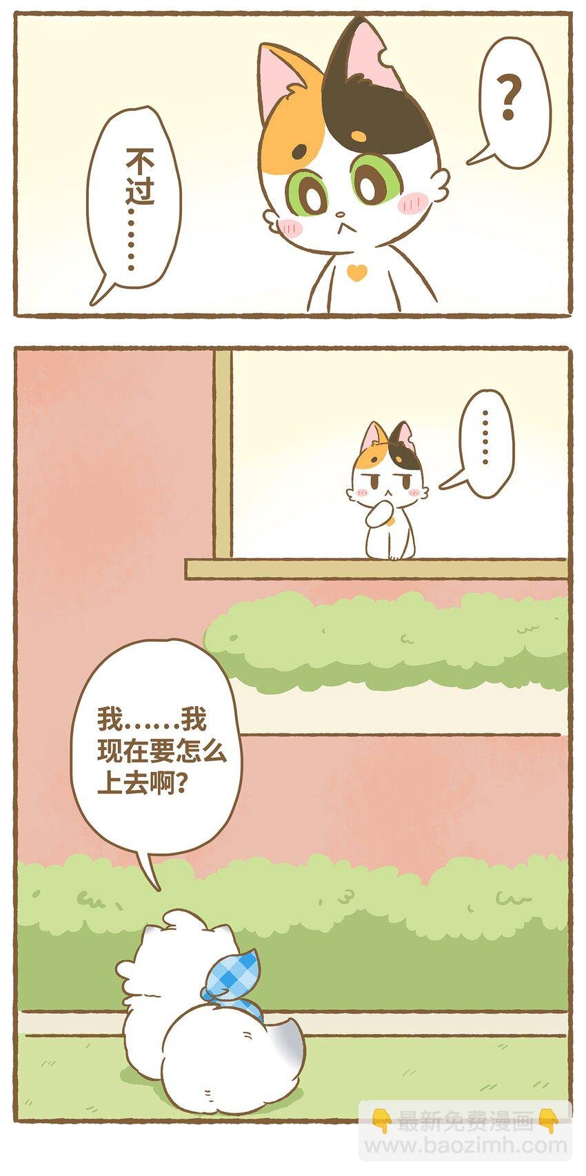 03 第3话