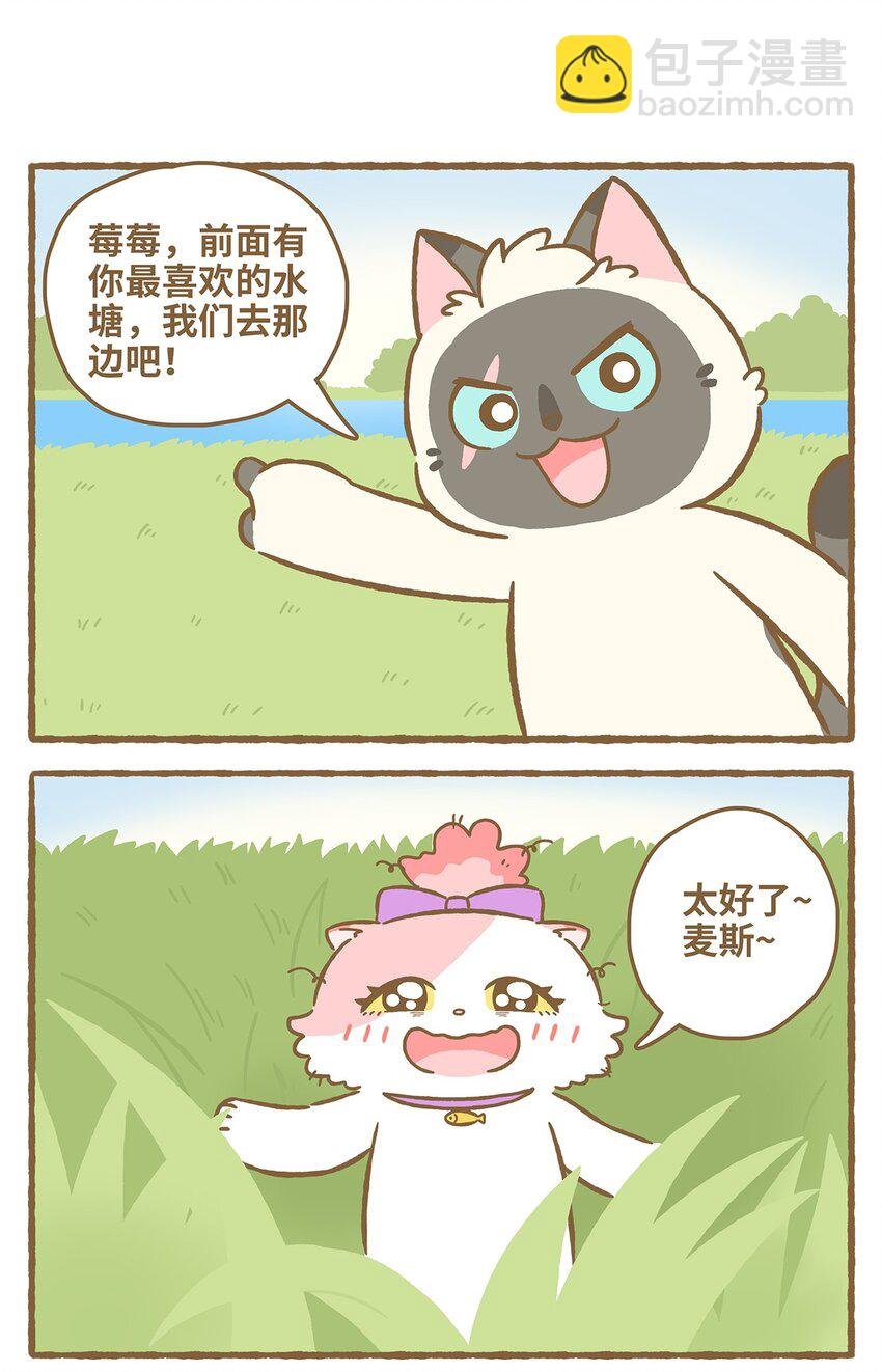 31 第31话