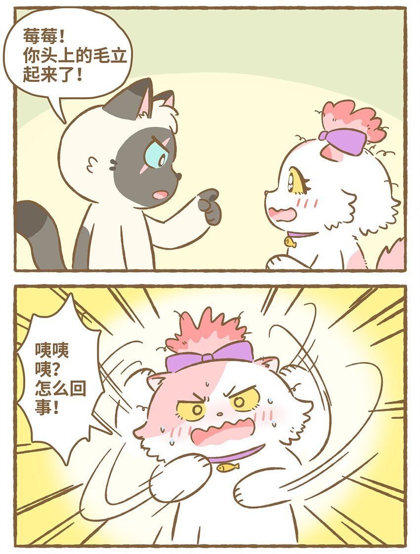 31 第31话