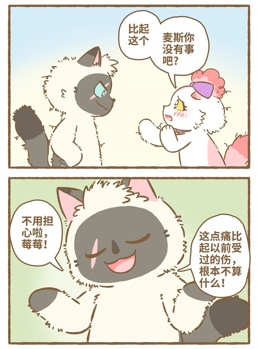 31 第31话