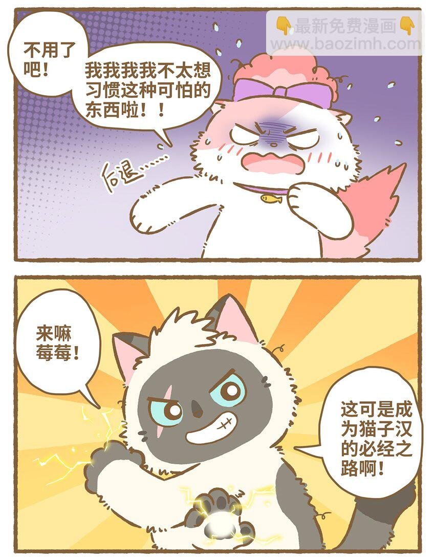 31 第31话