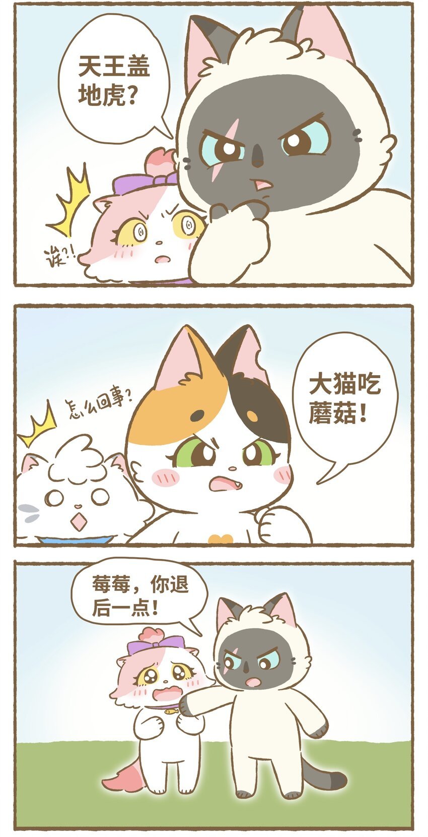 33 第33话