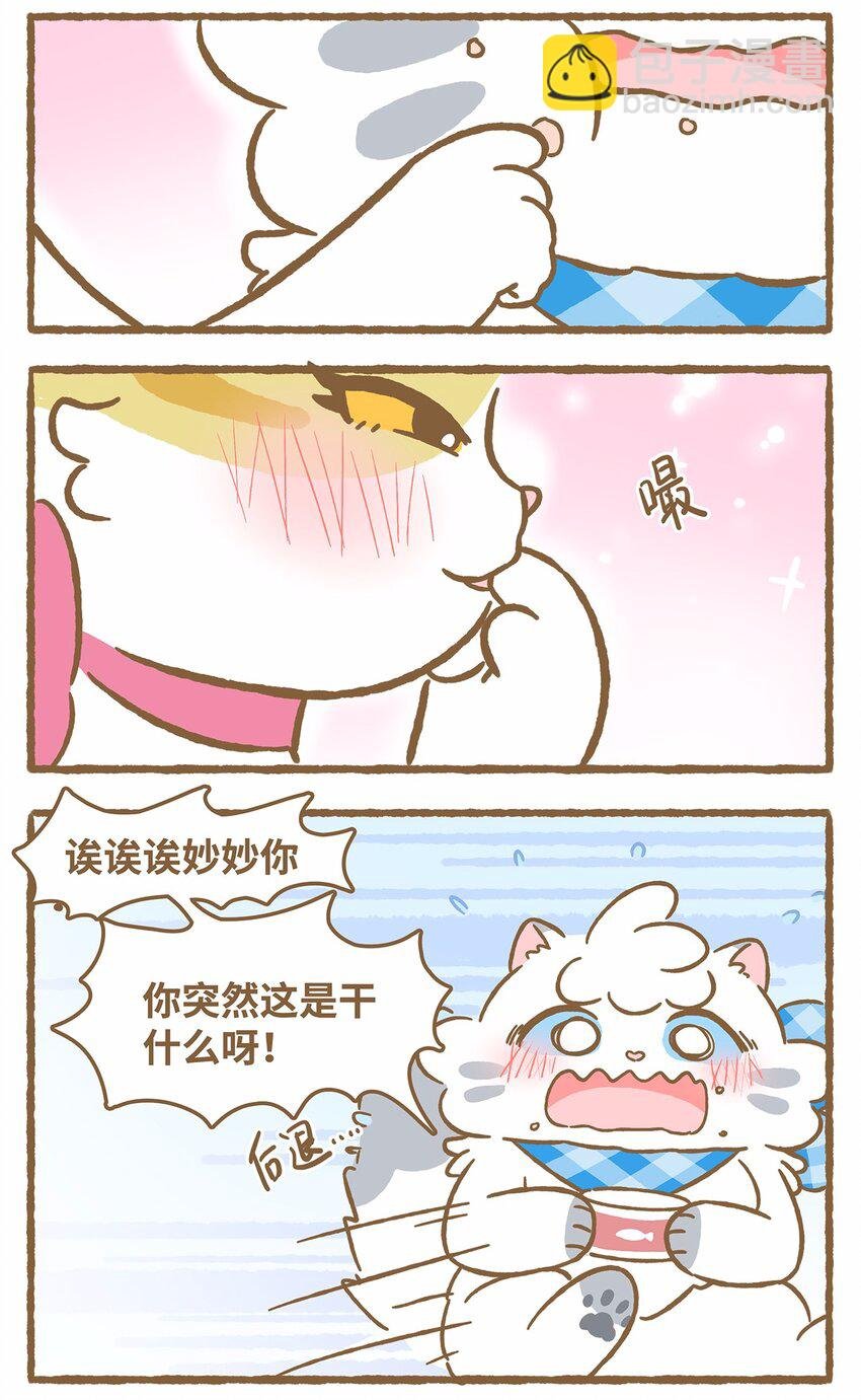 41 第41话 里奥的新朋友