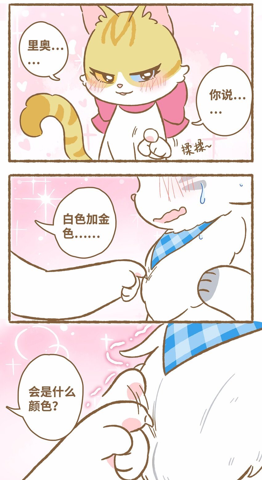 41 第41话 里奥的新朋友