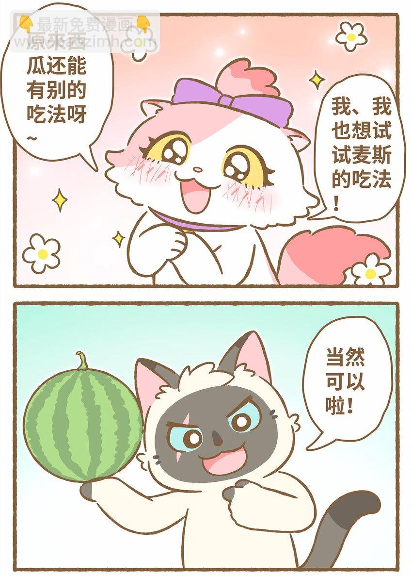 44 第44话 西瓜块VS西瓜汁
