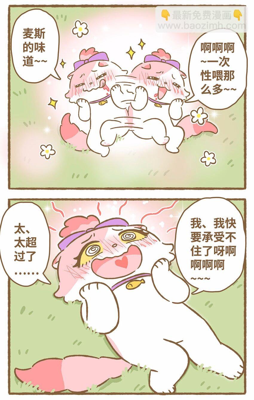 44 第44话 西瓜块VS西瓜汁