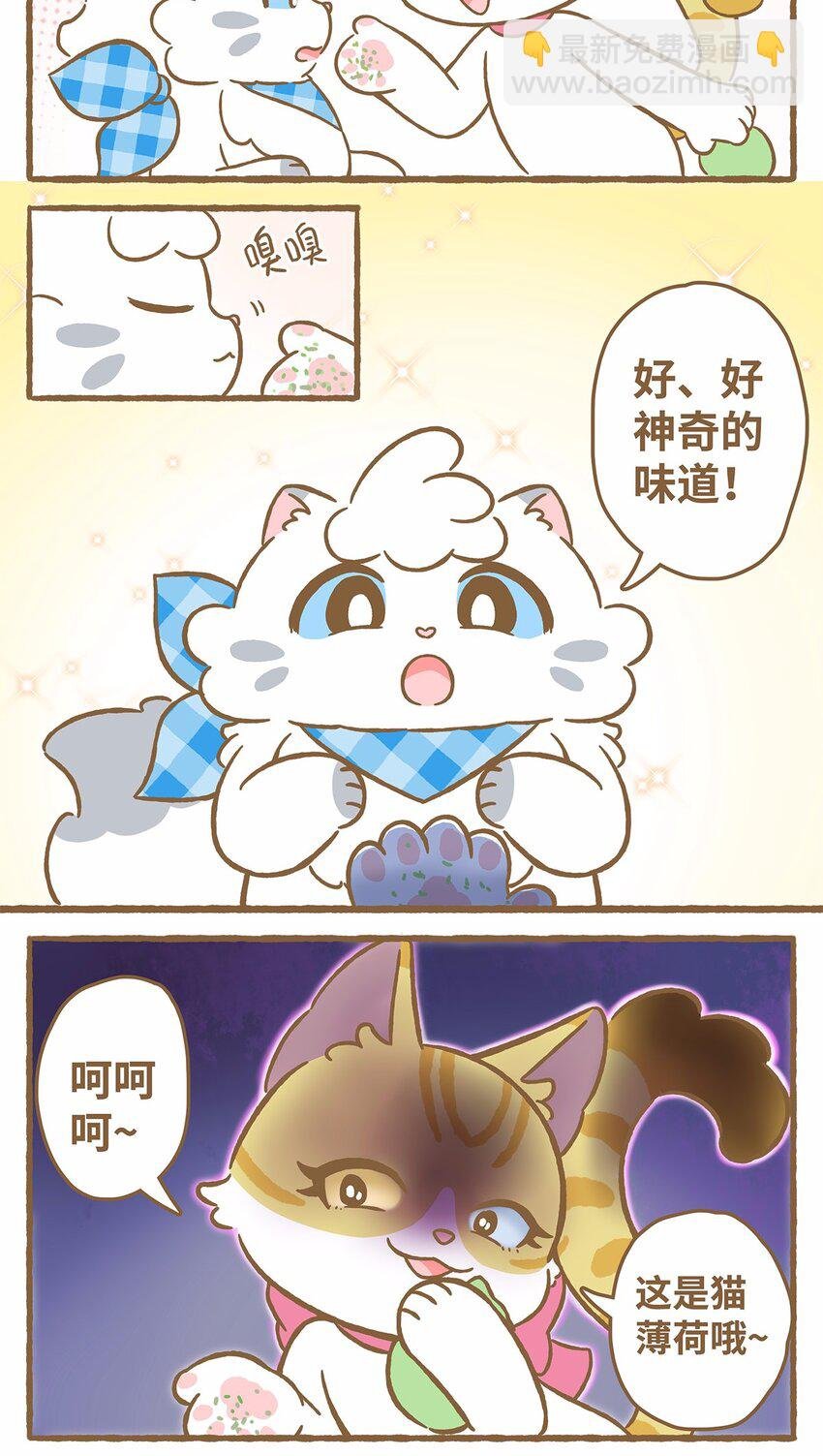 47 第47话 猫薄荷