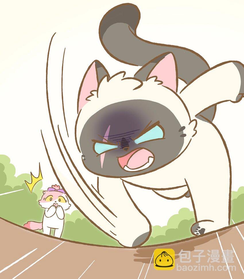 48 第48话 镜子