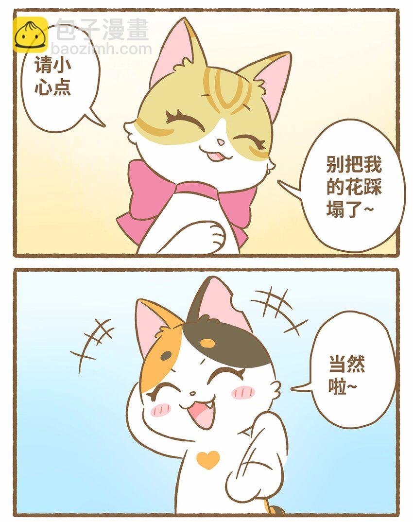 50 第50话 琪妙的相遇