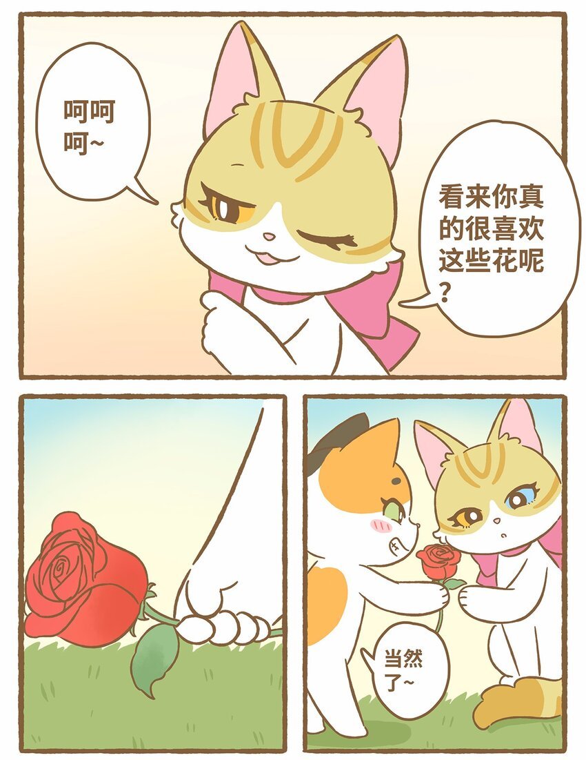 50 第50话 琪妙的相遇