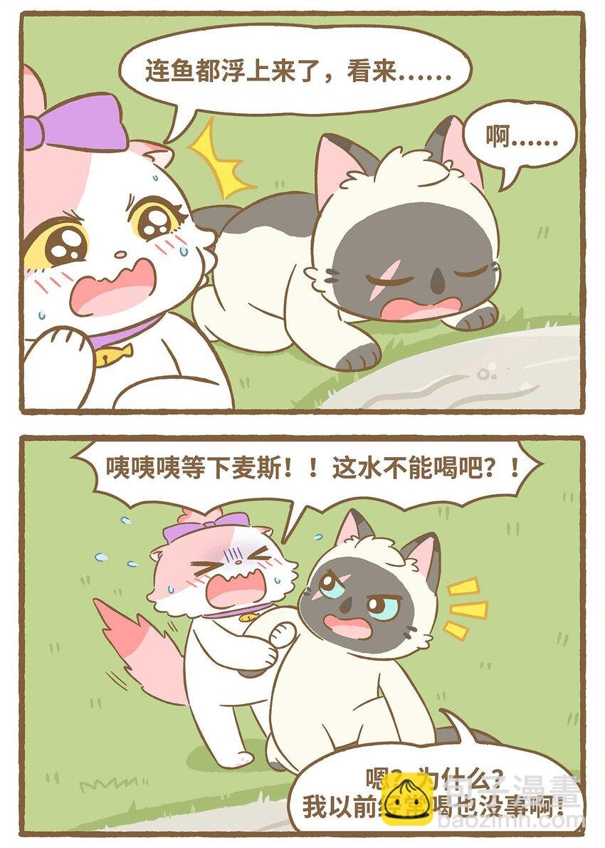 55 第55话 喝水