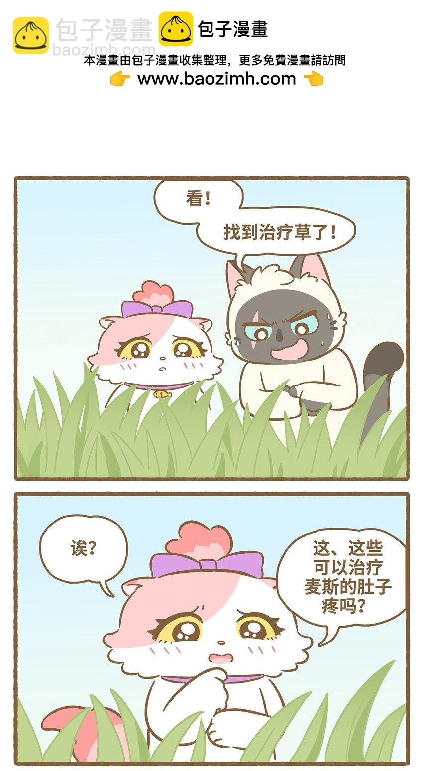 57 第57话 治疗草