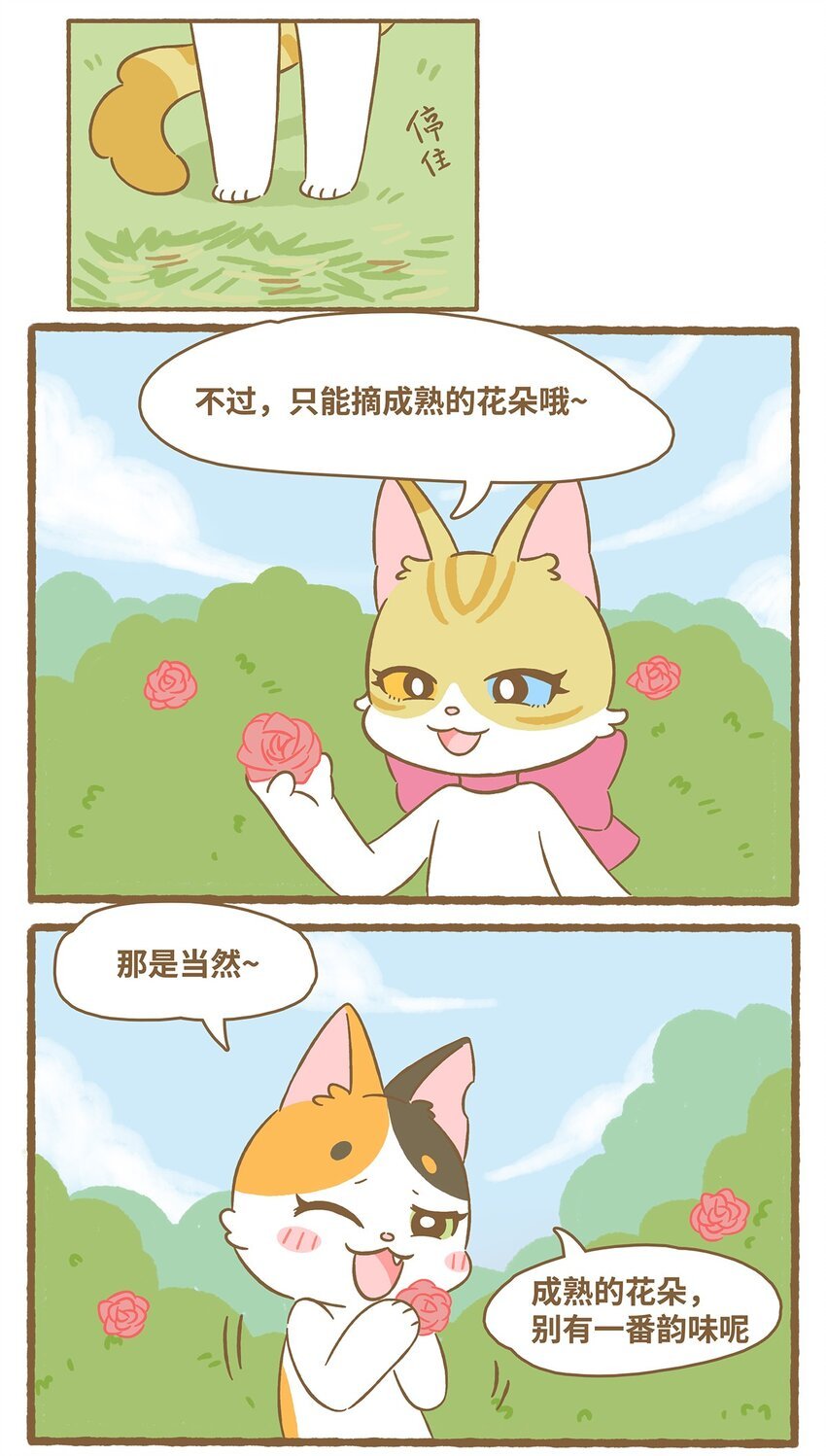 61 第61话 陷阱