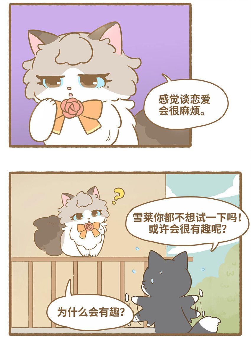 69 第69话 喜欢的猫？