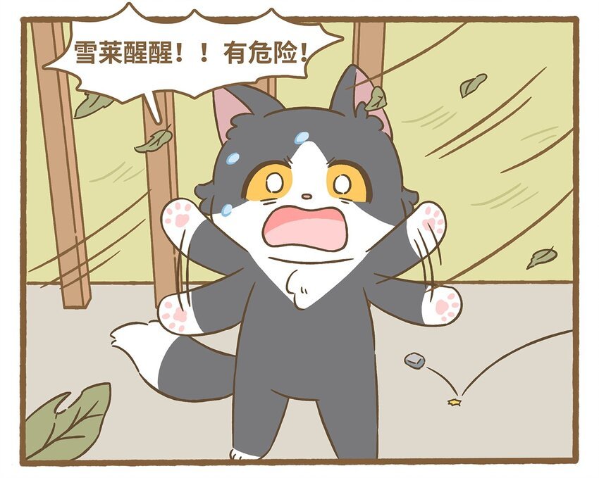71 第71话 刮大风了！