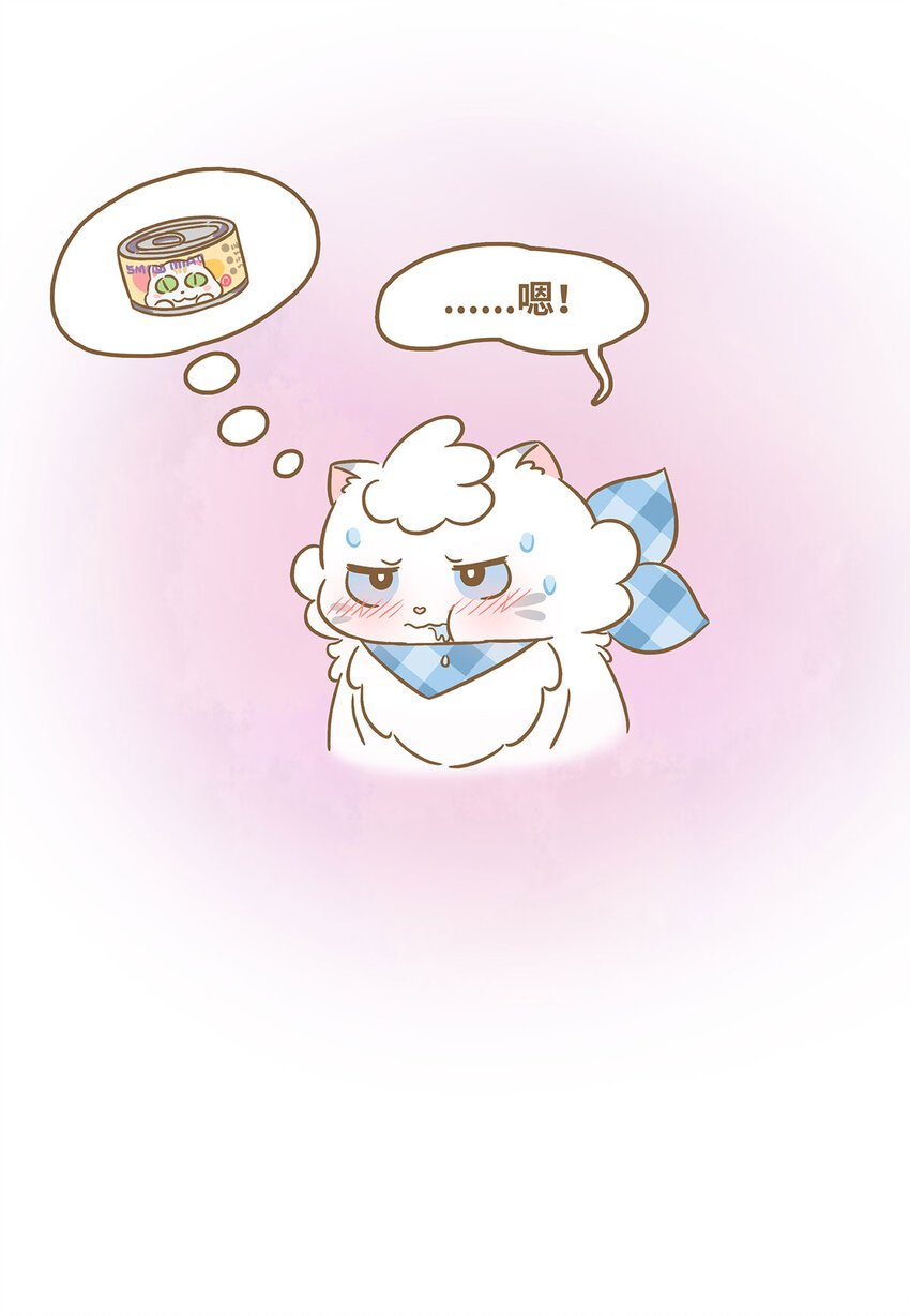 76 第76话 魔术贴